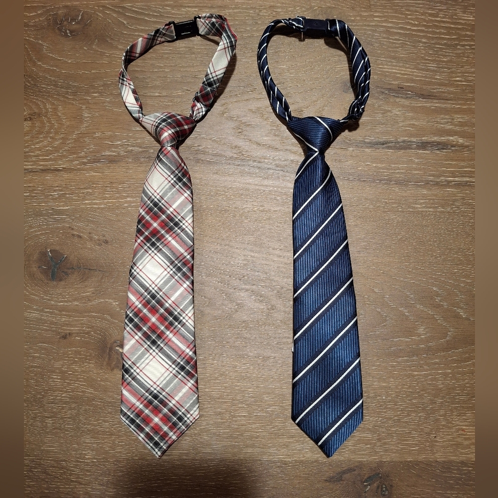 2-pack Toddler Boy Ties (size 24M-4T)